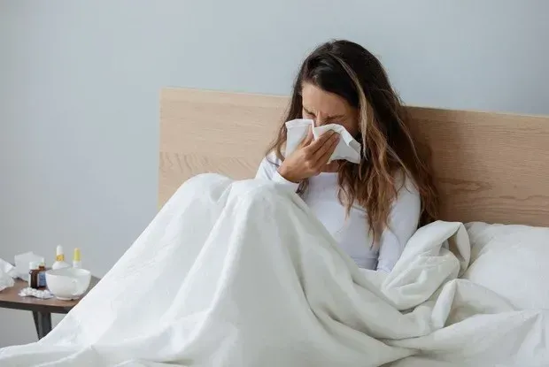 Intimotea : gdje kupiti u Srbiji, u apoteci?