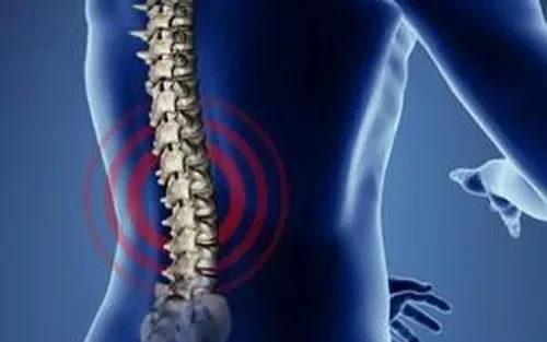 Osteon : sastav samo prirodnih sastojaka.